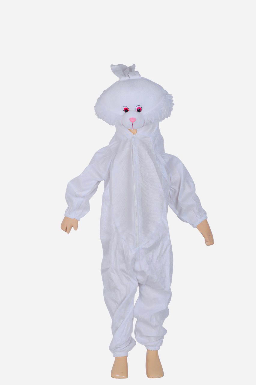 Costume image 